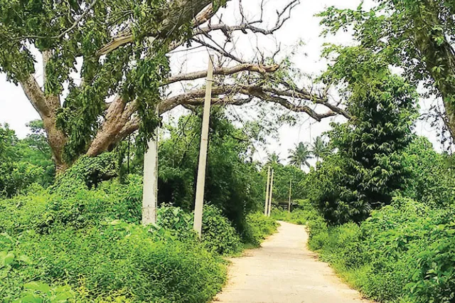 ଶ୍ରୀବନ୍ତପୁର ରାସ୍ତାରେ ବିପଦ, ପ୍ରଶାସନ ନିରବ