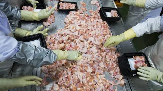 ବ୍ରାଜିଲରୁ ଚୀନ୍‌କୁ ଆସିଥିବା ଶୀତଳୀକୃତ କୁକୁଡ଼ା ମାଂସରେ  କରୋନାଭୂତାଣୁ