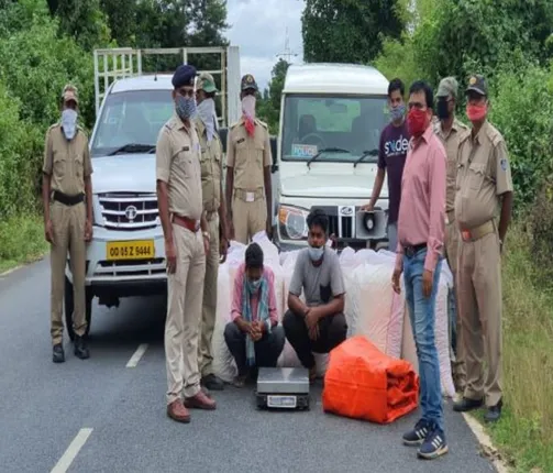 ବ୍ରହ୍ମପୁରକୁ ଚୋରାଚାଲାଣ ବେଳେ ୩୦ ଲକ୍ଷ ଟଙ୍କାର ଗଞ୍ଜେଇ ଜବତ,  ଗାଡ଼ି ମାଲିକ ଓ ଚାଳକ ଗିରଫ