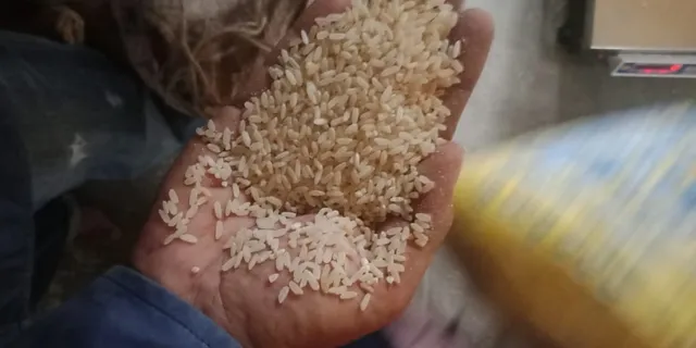 ଅଖାଦ୍ୟ ଖାଉଛି ଓଡ଼ିଶା: ବରବାଦ ହେଲା ୨୪ କୋଟି