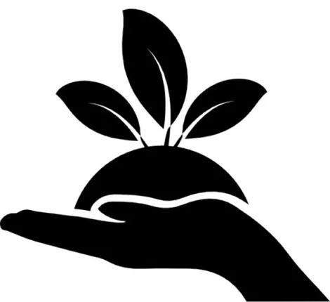 ପୂର୍ବ ଭାରତରେ ଦ୍ୱିତୀୟ ସବୁଜ ବିପ୍ଳବର ସ୍ୱପ୍ନ