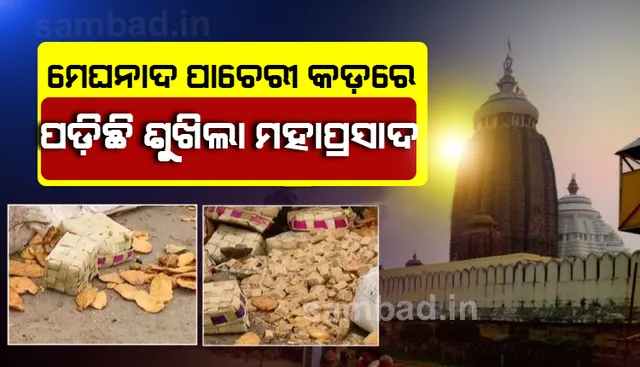 ପୁରୀରେ ରାସ୍ତାକୁ ଫିଙ୍ଗିଦେଲେ ବସ୍ତା ବସ୍ତା ଶୁଖିଲା ମହାପ୍ରସାଦ; ଭକ୍ତ ମହଲରେ ତୀବ୍ର ପ୍ରତିକ୍ରିୟା