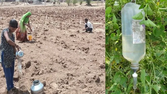 ସାଲାଇନ ବୋତଲ ବ୍ୟବହାର କରି ଲକ୍ଷାଧିକ ଟଙ୍କା ରୋଜଗାର କରୁଛନ୍ତି ଚାଷୀ