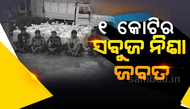 କୋରାପୁଟରୁ ବାହାରକୁ ୧ ଟନ ଗଂଜେଇ ଚାଲାଣ ଉଦ୍ୟମ ବିଫଳ, ୫ ଯୁବକ ଗିରଫ