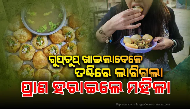 ଗୁପ୍‌ଚୁପ୍‌ ଖାଉଥିବାବେଳେ ପ୍ରାଣ ହରାଇଲେ ମହିଳା