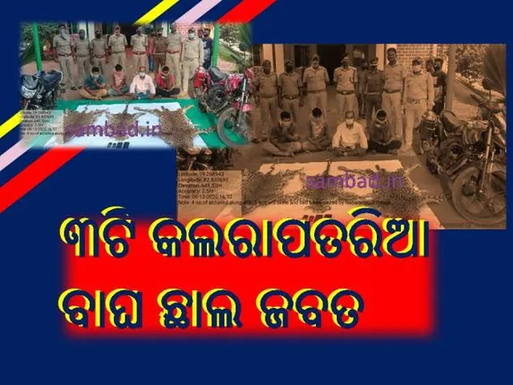 ନବରଙ୍ଗପୁର: ୩ଟି କଲରାପତରିଆ ବାଘ ଛାଲ ଜବତ, ୪ ଅଭିଯୁକ୍ତ ଯୁବକ ଗିରଫ