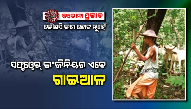 କରୋନା ପ୍ରଭାବ : ସଫ୍ଟୱେର୍‌ ଇଂଜିନିୟର୍‌ ଏବେ ଗାଈଆଳ, ‘କୌଣସି କାମ ଛୋଟ ନୁହେଁ’