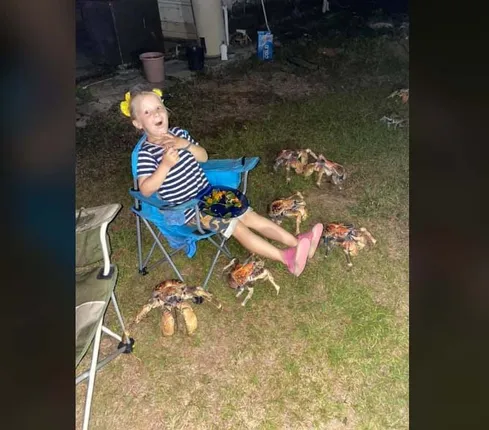 ପିକନିକ୍ କରିବାକୁ ଯାଇଥିବା ବେଳେ ମାଡି ଆସି‌ଲେ କଙ୍କଡ଼ାଙ୍କ ଗୋଷ୍ଠୀ