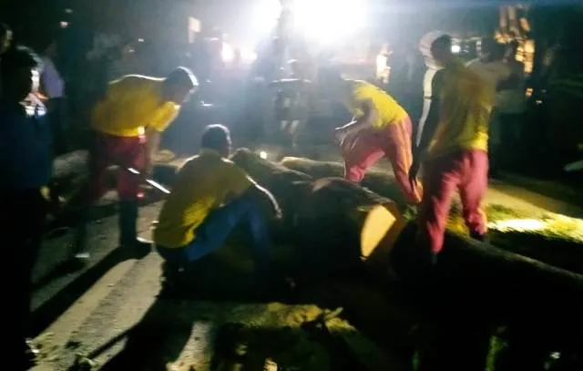 ହରଭଙ୍ଗା : ଚାରିଛକ ରାଜପଥରେ ଗଛ ପଡି ରାସ୍ତା ଅବରୋଧ, ଅଟକିଲା ଆମ୍ବୁଲାନ୍ସ ଓ ଶବବାହକ ଗାଡି ସମେତ ଶତାଧିକ ଗାଡି