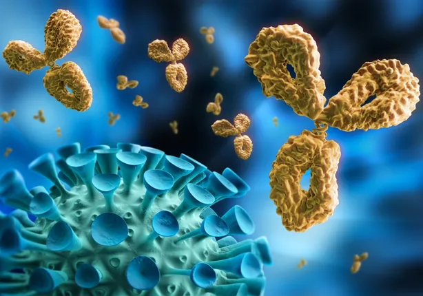 କୋଭିଡ୍‌ ପାଇଁ ପ୍ରତିରୋଧକତା ଆଣୁଛି ଡେଙ୍ଗୁ ଜ୍ବର!