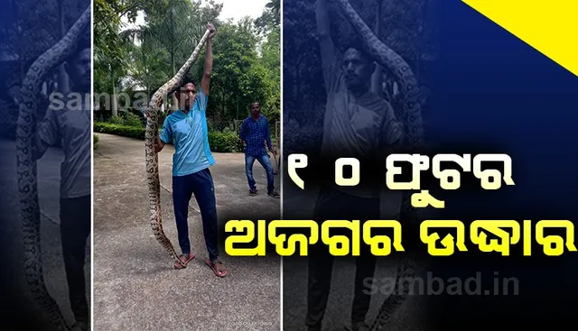 ଖାଦ୍ୟ ଅନ୍ୱେଷଣରେ ଗାଁ ମୁହାଁ ହେଉଛନ୍ତି ବନ୍ୟ ପ୍ରାଣୀ, ମାଲକାନଗିରିରେ ୧୦ ଫୁଟ ଲମ୍ବର ଅଜଗର ଉଦ୍ଧାର