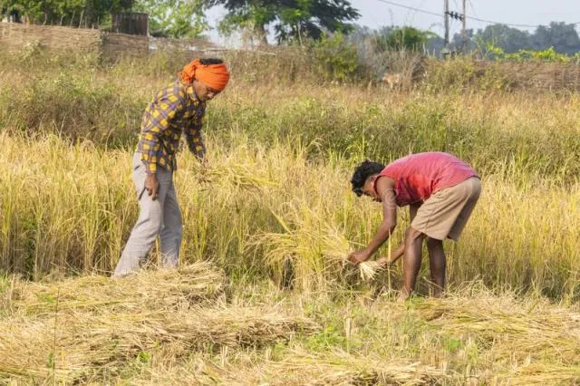 ଖାଦ୍ୟ ସବ୍‌ସିଡି କାଟ୍‌ ପାଇଁ ସୁପାରିସ
