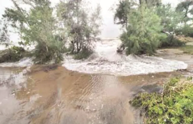 ସମୁଦ୍ର ଆଁରେ ଏରସମା ବ୍ଲକ୍, ଶିଆଳି-କଳାବେଦି ପଟୁ ସମୁଦ୍ର ଖାଉଛି କୂଳ