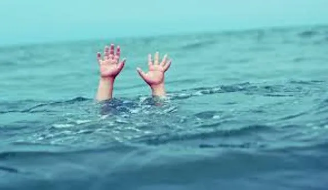 କଦଳୀ ପାଟୁଆ ଭେଳାରେ ଦୁଇଭାଇ ଯାଉଥିବା ବେଳେ ୧୧ କେଭି ଲାଇନ୍ ସଂସ୍ପର୍ଶରେ ଆସିଲେ, ଉଭୟଙ୍କର ପ୍ରାଣହାନି