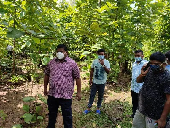 କଣ୍ଟାବାଞ୍ଜି: ଜଙ୍ଗଲରୁ ଅଜଣା ଯୁବକଙ୍କ ଝୁଲନ୍ତା ମୃତ ଦେହ ଉଦ୍ଧାର, ପୁଲିସର ତଦନ୍ତ ଆରମ୍ଭ