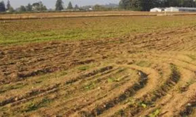 ଜମିର ବଜାର ଦର ବଢ଼ିବ ନାହିଁ