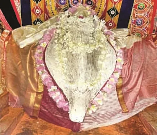 ମହାଳୟାରେ ଧବଳମୁଖୀ ବେଶରେ ଦର୍ଶନ ଦେଲେ ମା’, ଅନ୍‌ଲାଇନ୍‌ରେ ଦର୍ଶନ କଲେ ଶ୍ରଦ୍ଧାଳୁ