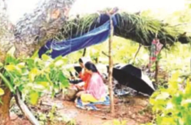 ଅନ୍‌ଲାଇନ୍ ପାଠପଢ଼ା ପାଇଁ ପାହାଡ଼ ଚଢୁଛନ୍ତି ଛାତ୍ରଛାତ୍ରୀ : ଗାଁ ଲୋକଙ୍କଠୁ ମୋବାଇଲ ମାଗି ନେଇଛନ୍ତି, ପାହାଡ଼ ଉପରେ କୁଡ଼ିଆ କରି ପଢ଼ୁଛନ୍ତି