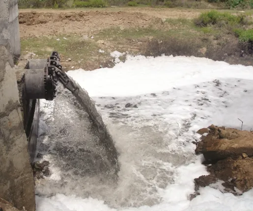 ମହାନଦୀ,ତାଳଦଣ୍ତାରେ ମିଶୁଛି ନର୍ଦ୍ଦମା ପାଣି : ପାଣି ପାଲଟିଛି କଳା, ବିପଦରେ ମଣିଷ ଓ ପଶୁପକ୍ଷୀ