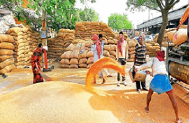 ସର୍ବନିମ୍ନ ସହାୟକ ମୂଲ୍ୟ ବ୍ୟବସ୍ଥା ରହିବ, କୃଷି କ୍ଷେତ୍ର ପାଇଁ ସରକାର ଆଣିଲେ ଦୁଇଟି ଅଧ୍ୟାଦେଶ