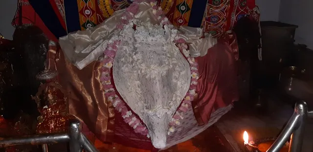 ଆଜି ମହାଳୟା : ଧବଳମୁଖୀ ବେଶରେ ଦର୍ଶନ ଦେଲେ ମା ସମଲେଶ୍ୱରୀ