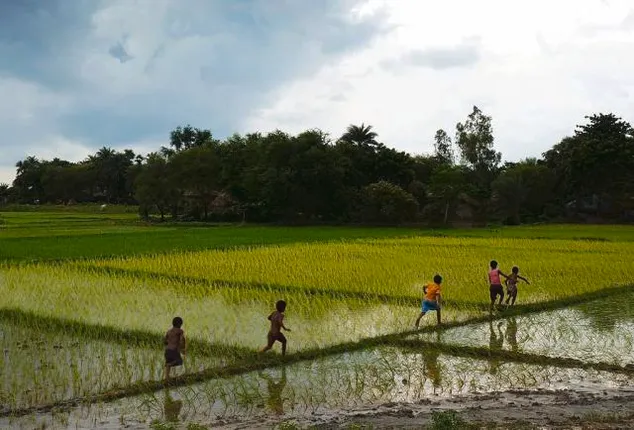 ୧୫ରୁ ୩ ଦିନ ଯାଏ ରାଜ୍ୟରେ ପାଗ ଶୁଖିଲା ଓ ଖରାଟିଆ ରହିବ