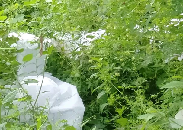 ୪ଦିନରେ ୪ ପଜିଟିଭ୍‌, ରାଜଧାନୀ ଉପକଣ୍ଠ ଫିରିଫିରା ଗାଁ ସିଲ୍‌