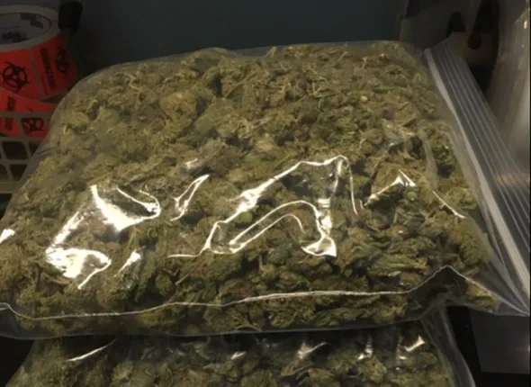 ଗଞ୍ଜାମ: ସୋରଡ଼ାରେ ୪୭ କିଲୋ ଗଞ୍ଜେଇ ଜବତ, ଜଣେ ଗିରଫ