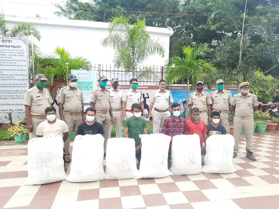 ପୁଲିସ ପକ୍ଷରୁ ଚଢ଼ାଉ ; ଆସିକା ବସ ଷ୍ଟାଣ୍ଡରୁ ୧୩୪ କେଜି ଗଞ୍ଜେଇ ସହିତ ଛଅ ଗିରଫ