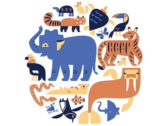 ବନ୍ୟ ପ୍ରାଣୀ ସୁରକ୍ଷା ଜରୁରୀ କାହିଁକି?