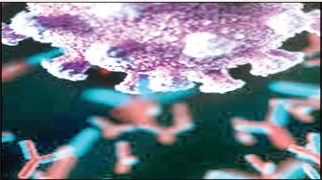 ଶରୀରରେ କେତେ ଅଛି ଆଣ୍ଟିବଡ଼ି, ଏହି କିଟ ମାତ୍ର ଘଣ୍ଟାକରେ ଜଣାଇଦେବ ଆଣ୍ଟିବଡ଼ି ମାତ୍ରା