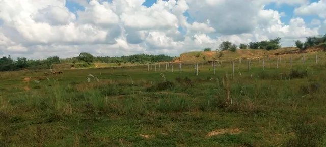 ଥଇଥାନ ଓ ପୁନର୍ବାସ ନୀତିକୁ ହତ୍ୟା! କଂପାନି ସିଧାସଳଖ କିଣିପାରିବେ ୫୦୦ ଏକର ଜମି