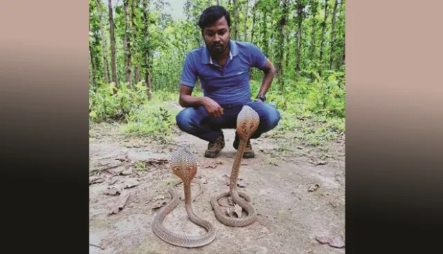 ସାର ଦୋକାନରୁ ନାଗ ନାଗୁଣୀ ଉଦ୍ଧାର