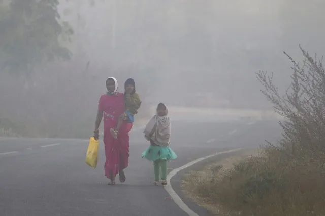 ନୂଆବର୍ଷରେ ଶୀତ ନାହିଁ