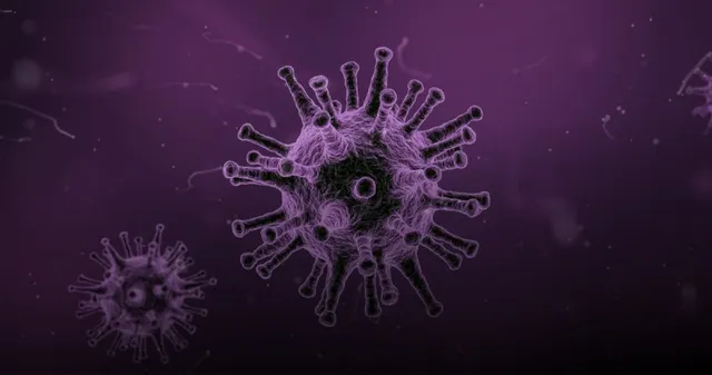 ରାଜଧାନୀର ଘରୋଇ ହସ୍ପିଟାଲରେ ବଢ଼ୁଛନ୍ତି କରୋନା ରୋଗୀ