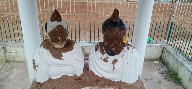 ଗାନ୍ଧୀ ଓ ଗୋପବନ୍ଧୁଙ୍କୁ ଅପମାନ! ପ୍ରତିମୂର୍ତ୍ତିରେ କାଦୁଅ ଓ ବାଲିର ଲେପ