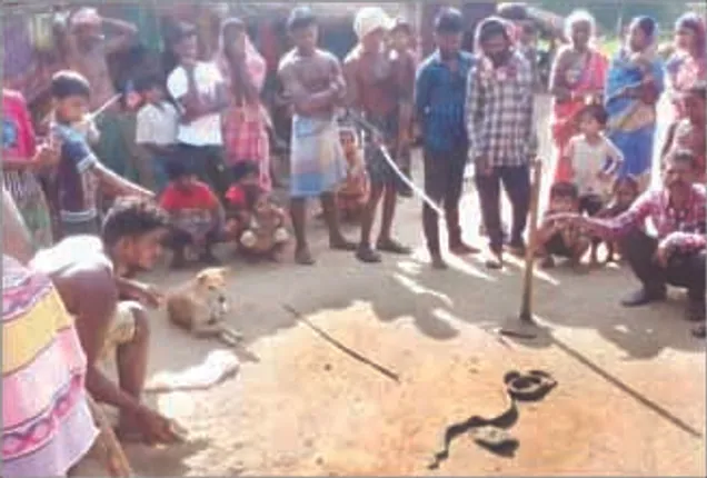 ଅହିରାଜ ସହ ଲଢ଼ିଲା କୁକୁର; ଘରେ ପୂରାଇଦେଲାନି, ମାଲିକଙ୍କ ପରିବାରକୁ ବଞ୍ଚାଇଲା