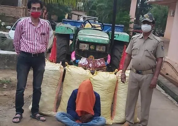 ୧ କୁଇଣ୍ଟାଲ ଗଂଜେଇ ଜବତ, ଜଣେ ଗିରଫ