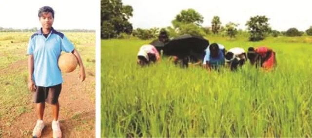 ବିଲରେ କାମ କରୁଛନ୍ତି ଜାତୀୟ ଫୁଟବଲ୍ ଖେଳାଳି ଲକ୍ଷ୍ମୀ