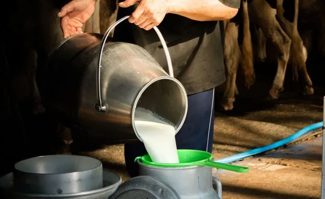 ବିଶ୍ବ ପ୍ରାଣୀ ଦିବସ: କ୍ଷୀର ୩ ଗୁଣ ଏବଂ ମାଂସ ଉତ୍ପାଦନ ୬ ଗୁଣ ବଢ଼ିଛି