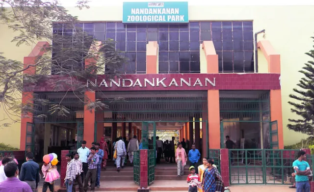 ନନ୍ଦନକାନନରୁ ଇନ୍ଦୋର ଗଲେ ୧୩ ବନ୍ୟପ୍ରାଣୀ: ବିଦାୟ ନେଲେ କଳା ବାଘ ‘ଭିକି’ ଓ ଧଳା ବାଘୁଣୀ ‘ରାଗିଣୀ’