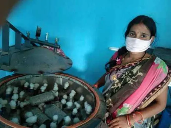 ପାଳଛତୁ ଚାଷ: ମଞ୍ଜି ପ୍ରସ୍ତୁତ କରି ମହିଳା ସ୍ବାବଲମ୍ବୀ