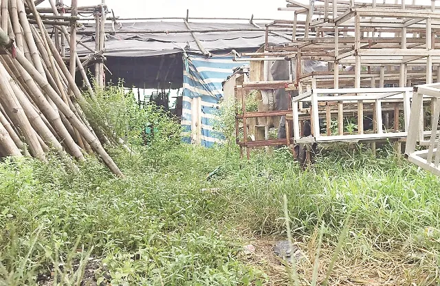 ଉଜୁଡ଼ିଗଲାଣି ବିବାହ ବ୍ୟବସାୟ : ଦୁର୍ଦ୍ଦିନରେ ୨୦ ଲକ୍ଷ ପରିବାର