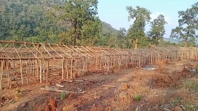 ଆଦିବାସୀଙ୍କ ଜମି ୧୫ଜଣଙ୍କୁ ବାଣ୍ଟି ଦେଇଥିବା ନେଇ ସଙ୍ଗୀନ ଅଭିଯୋଗ ଆଣିଲେ ଗଜପତି ଜିଲ୍ଲା ସ୍ଵତନ୍ତ୍ର ଉନ୍ନୟନ ପରିଷଦର ପୂର୍ବତନ ଅଧ୍ୟକ୍ଷ