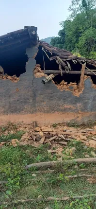 ରଙ୍ଗମାଟିରେ ଝାଡଖଣ୍ଡି ହାତୀ: ଭାଙ୍ଗିଲେ ଘର, ଖାଇଲେ ଫସଲ