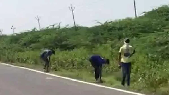 ରାସ୍ତା ଓ ବୁଦାରେ ପଡ଼ିଥିବା ସୁନାକୁ ନେବା ପାଇଁ ଗ୍ରାମବାସୀଙ୍କ ଭିତରେ ଟଣାଓଟରା