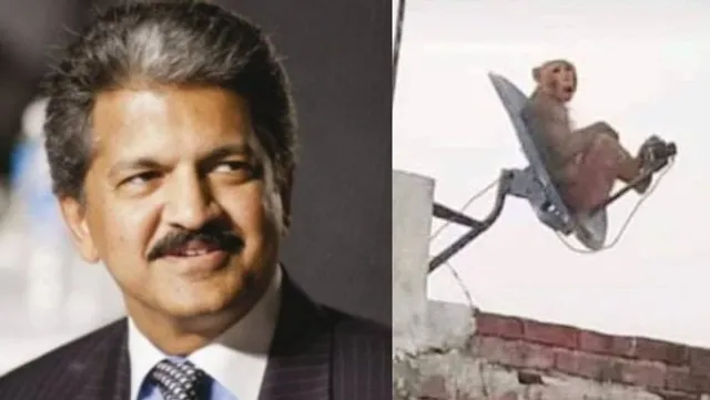 ଆନନ୍ଦ ମହିନ୍ଦ୍ରାଙ୍କ ଘୋଷଣା: ମାଙ୍କଡ଼ ଫଟୋର କ୍ୟାପସନ ଦେଇ ଜିତନ୍ତୁ ‘ବ୍ରାଣ୍ଡ ନ୍ୟୁ ମହିନ୍ଦ୍ରା ସ୍କେଲ ମଡେଲ କାର’