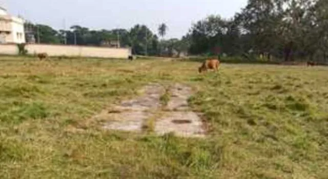 ଭିତ୍ତିପ୍ରସ୍ତରକୁ ୨୬ ବର୍ଷ ପୂରିବ; ସ୍ବପ୍ନରେ ରହିଗଲା ଡେରିକି ମିନିଷ୍ଟାଡିଅମ୍‌