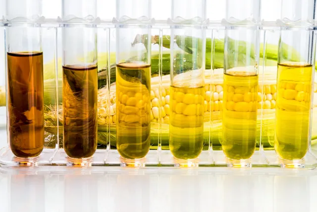 ଅତିରିକ୍ତ ଧାନ ନେଇ ଇନ୍ଧନ ବାହାର କରିବାକୁ କେନ୍ଦ୍ର ସରକାରଙ୍କୁ ଅନୁରୋଧ କଲେ ଛତିଶଗଡ଼ ମୁଖ୍ୟମନ୍ତ୍ରୀ