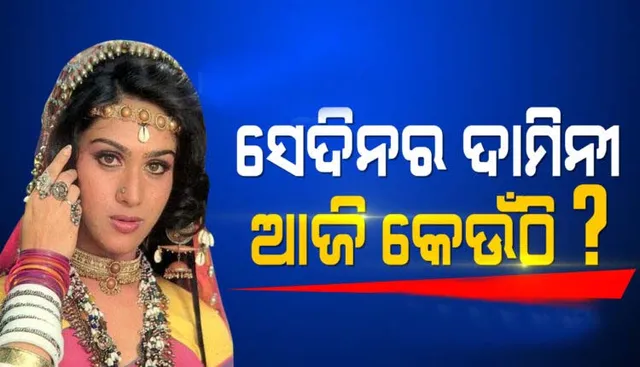 ବଲିଉଡର ଦାମିନୀ ସାଜିଥିବା ମିନାକ୍ଷୀ ଶେଷାଦ୍ରୀ ଏବେ କେଉଁଠି ଜାଣନ୍ତୁ